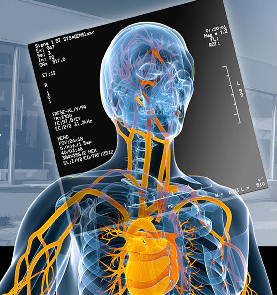 French-Ukrainian workshop : Instrumentation developments for high energy physics