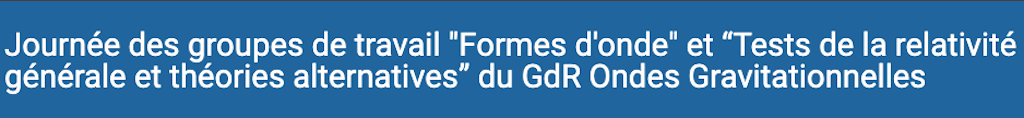 Workshop of  the workings groups 
