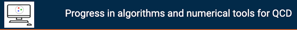 Progress in algorithm and numerical tools for QCD Workshop