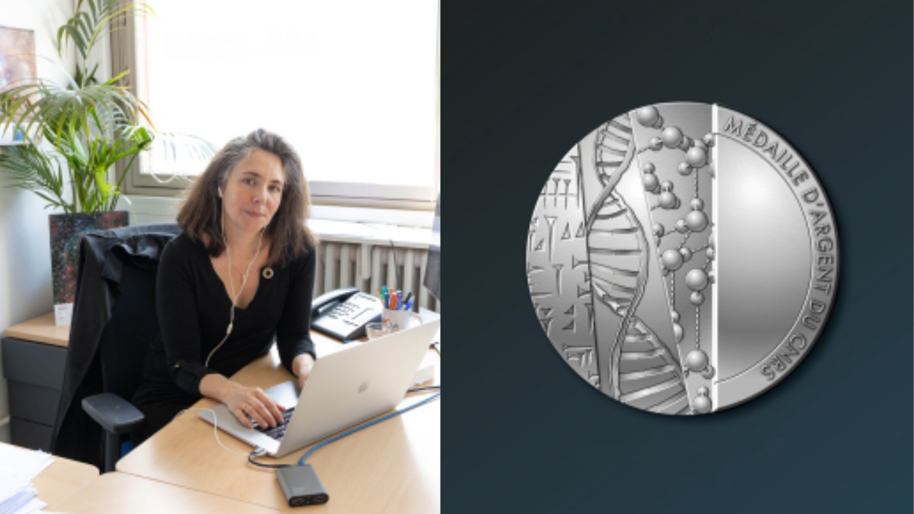 Sophie Henrot-Versillé, médaillée d’argent CNRS 2026